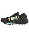 adidas + Terrex Agravic 2 GTX Aurora Coffee