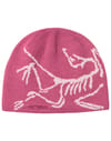 Bird Head Toque LT Renegade Rose + Arc'Teryx