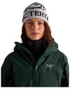 Arc'Teryx + Bird Word Toque LT Renegade Renegade