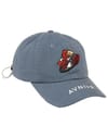 Casquette FOCUS BIRD VISION Bleu + AVNIER