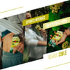 Baouw + Pack Gels Stick Citron Yuzu (x12) - 4