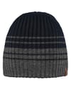 Telbirs Beanie Dark Heather + Barts