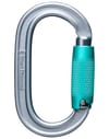 Oval Triple Lock Carabiner Polished + Black Diamond