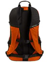 Burton + Day Hiker 22L Pack Spiced Chai