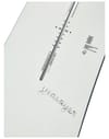 Burton + Yeasayer Flying V Paws 2027 - 6