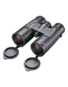 Bushnell + Nitro 10x42