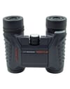 Bushnell + Offshore 10x25 - 5