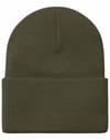 Carhartt WIP + Acrylic Watch Hat Plant