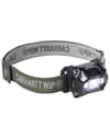 2760 Headlamp Smoke Green + Carhartt WIP
