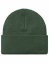 Carhartt WIP + Chase Beanie Sycamore Tree / Gold