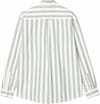 Carhartt WIP + L/S Dillion Shirt Dillion Stripe Park / White