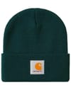 Short Watch Hat Dark Fir + Carhartt WIP