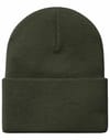 Carhartt WIP + Acrylic Watch Hat Opuntia