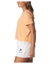 Columbia + North Cascades™ Cropped Tee Peach/Framed Halftone Logo Graphic - 5