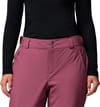 Columbia + Shafer Canyon II Insulated Pant Antique Mauve - 4