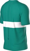 Compressport + Performance SS Tshirt M Shady Glade White - 4