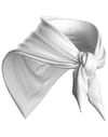 Compressport + StayFresh Ice Bandana White