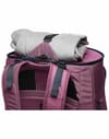 Cotopaxi + Allpa 50L Adventure Travel Pack Fig - 10