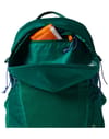 Cotopaxi + Elqui 18L Backpack Kale - 3