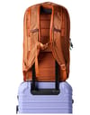 Cotopaxi + Allpa 26L Daypack Whiskey - 6
