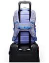 Cotopaxi + Allpa 18L Daypack Aster - 7
