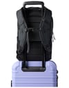 Cotopaxi + Allpa 18L Daypack Black - 6