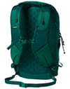 Cotopaxi + Elqui 24L Backpack Kale