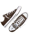 Converse + Chuck Taylor All Star Classic Low Fresh Brew - 4