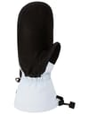 Dakine + Leather Sequoia Gore-Tex Mitt Ancient Water