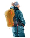 deuter + Alproof Lite 20 SL Cinnamon/Black - 8