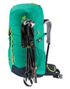 deuter + Climber Fern/Ink