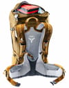 deuter + Futura Pro 36 Almond/Cinnamon