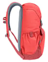 deuter + Walker 20 Currant/Redwood - 3