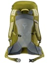 deuter + AC Lite 30 Linden Cactus