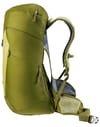 deuter + AC Lite 30 Linden Cactus - 4