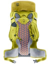 deuter + Speed Lite 30 Linden Sprout