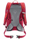 deuter + AC Lite 17 Cherry Masala