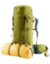 Deuter + Aircontact Core 40+10 Cactus Ivy - 8