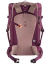 deuter + Freerider Pro 30+10 SL Ashrose Cassis