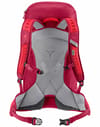 deuter + AC Lite 30 Cherry Masala
