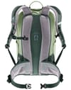 deuter + Trail 25 Grove Ivy