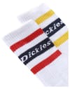 Dickies + Genola White