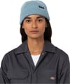 Dickies + Woodworth Beanie Trooper - 5