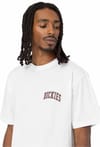Dickies + Aitkin Chest Tee SS White/Fired Brick - 5