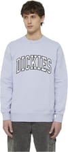 Dickies + Aitkin Sweatshirt Cosmic Sky - 3