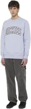 Dickies + Aitkin Sweatshirt Cosmic Sky - 5