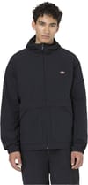 Dickies + Jackson Black - 3