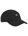 Fincastle Cap Black + Dickies