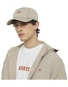 Dickies + Fincastle Cap Sandstone - 4