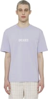 Dickies + Patrick Springs Tee SS Cosmic Sky - 4